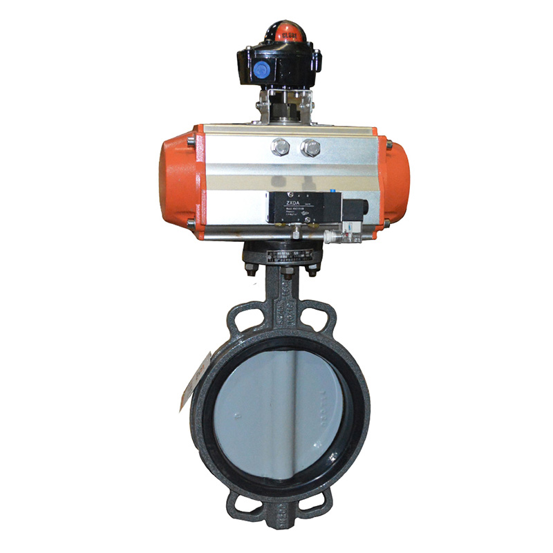 氣動(dòng)軟密封對(duì)夾蝶閥